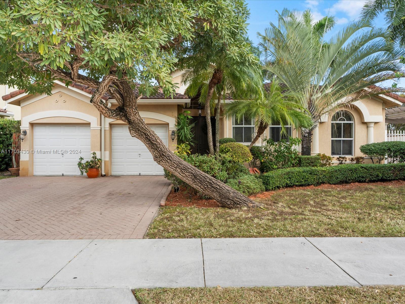 front view of a house with a tree