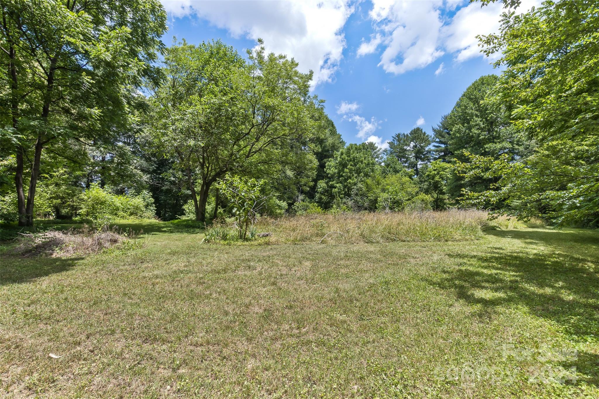 a view of yard with green space