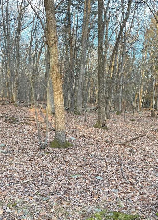 a view of a yard with trees