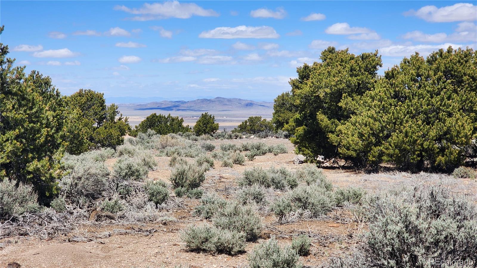 a view of a dry yard