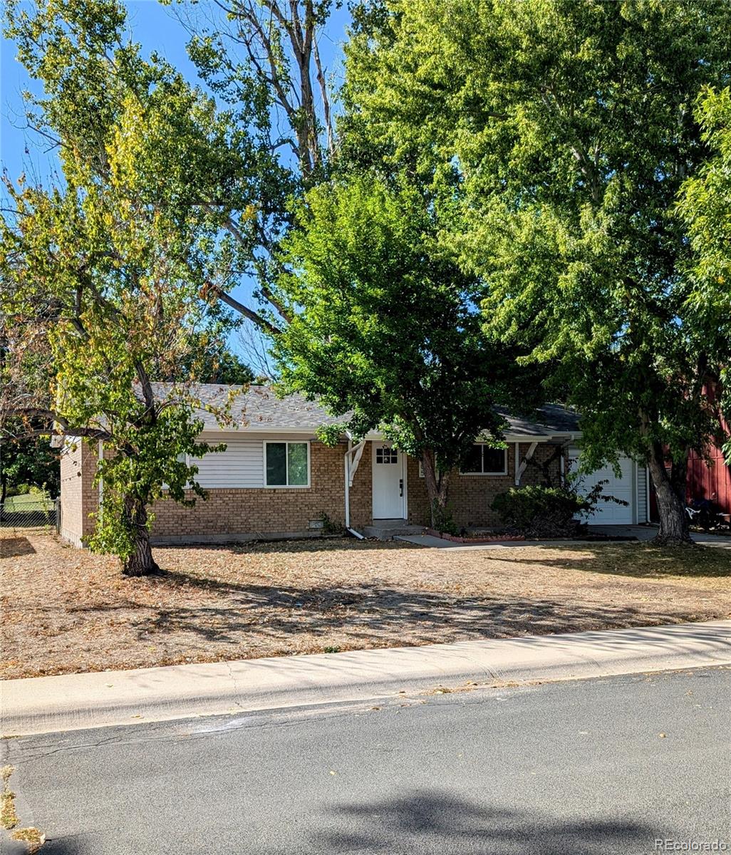 a house that has a tree in front of it