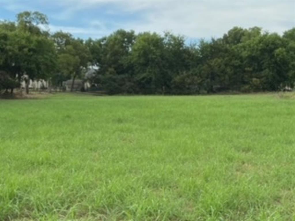 a view of yard with green space