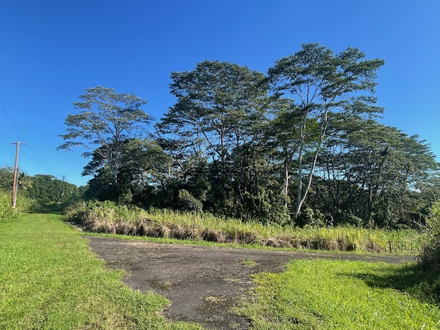 North view along Rd A, Easement to right