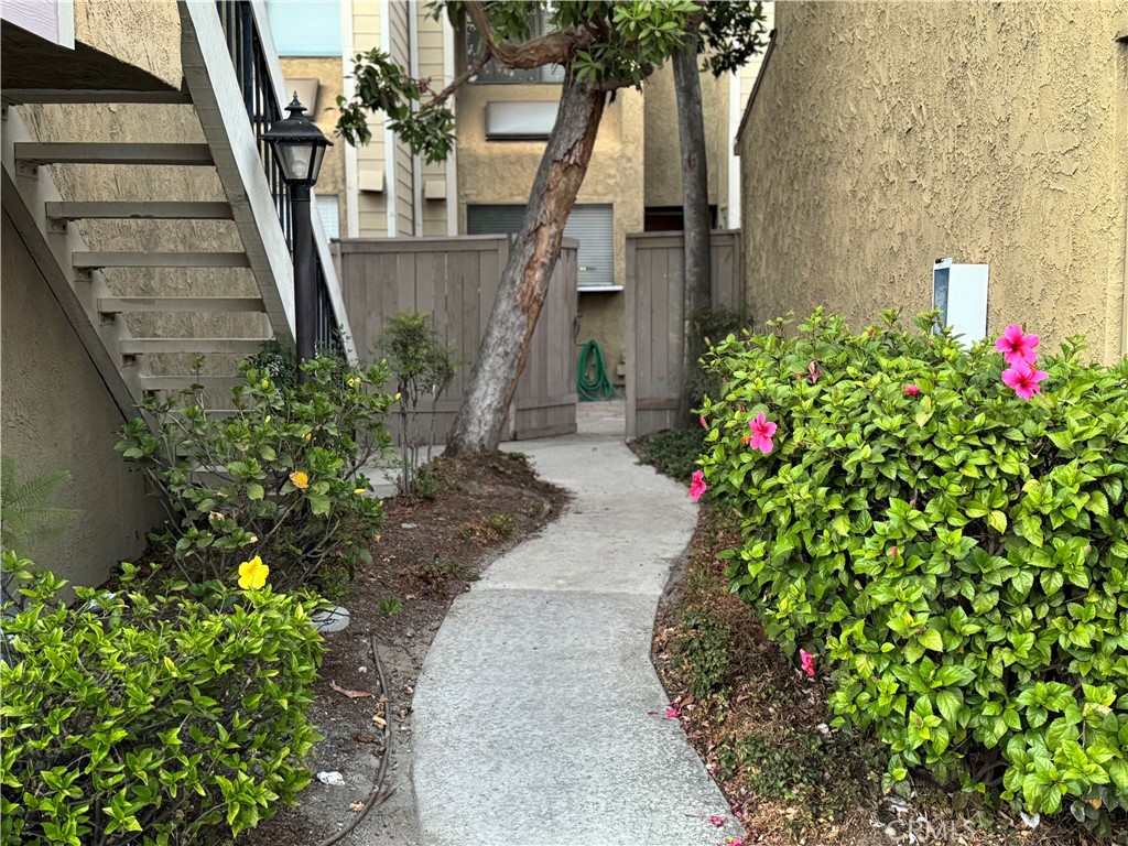 a view of a pathway with flower plants