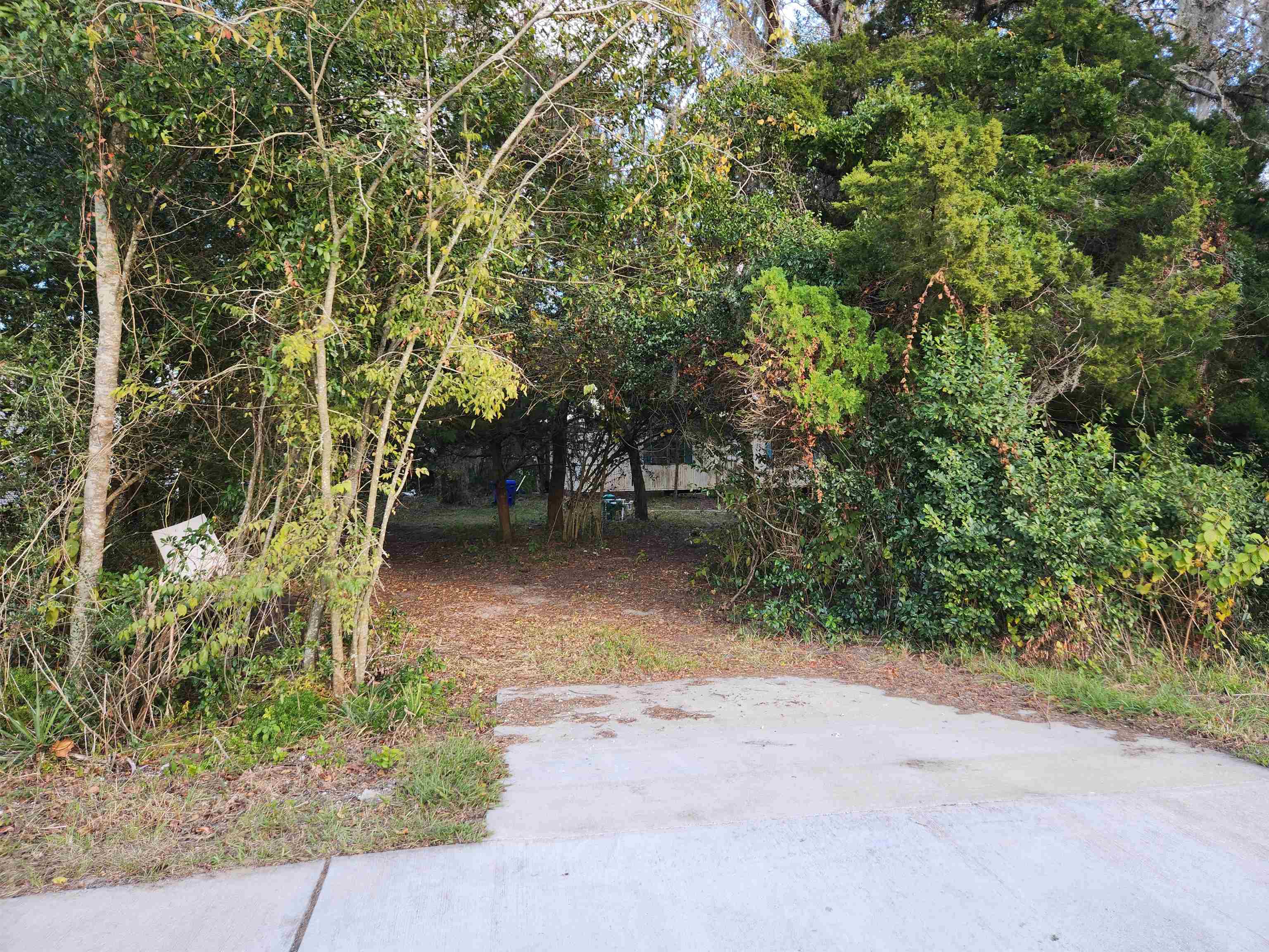 a view of outdoor space and yard