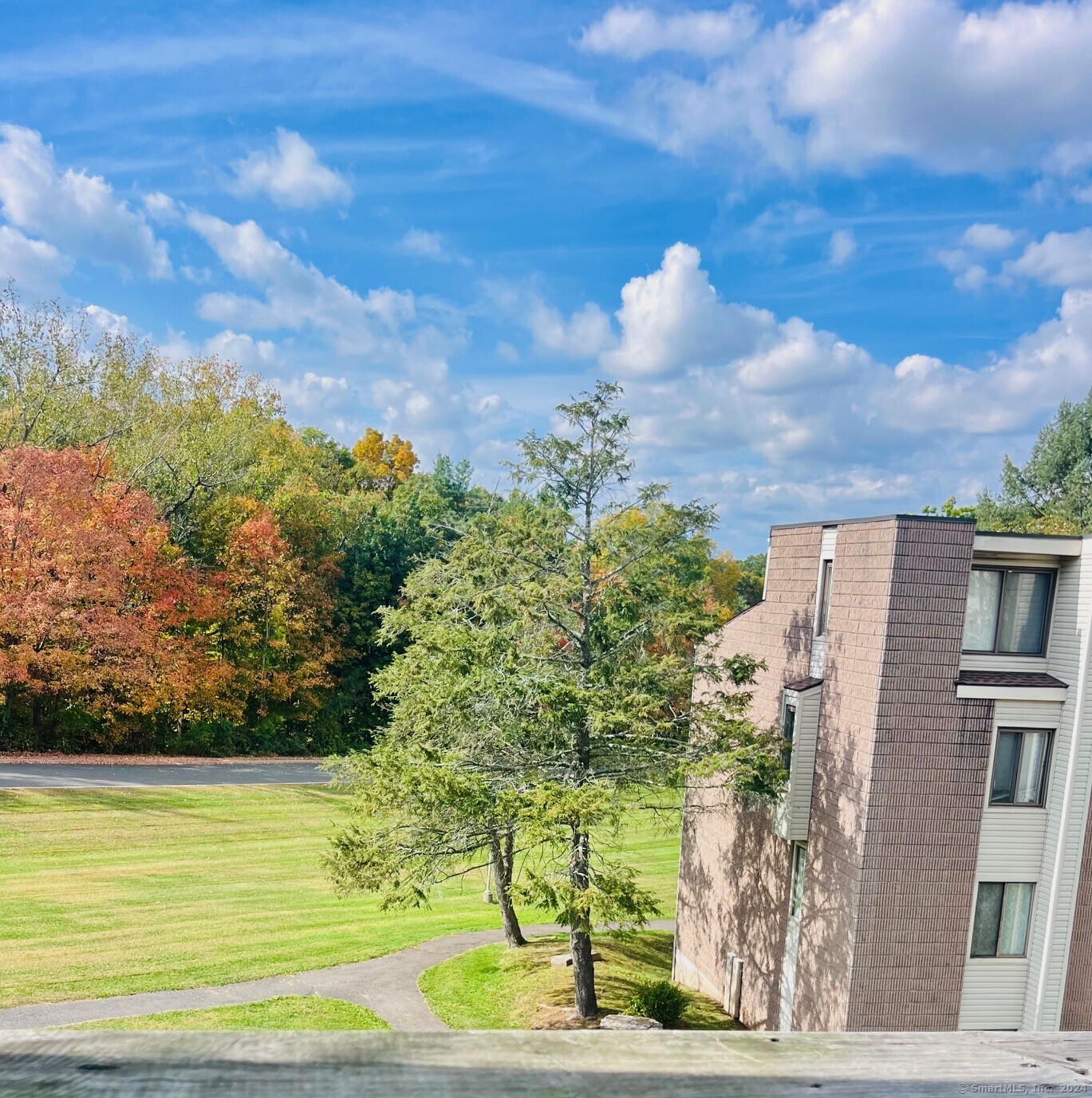 a view of a yard with an outdoor space