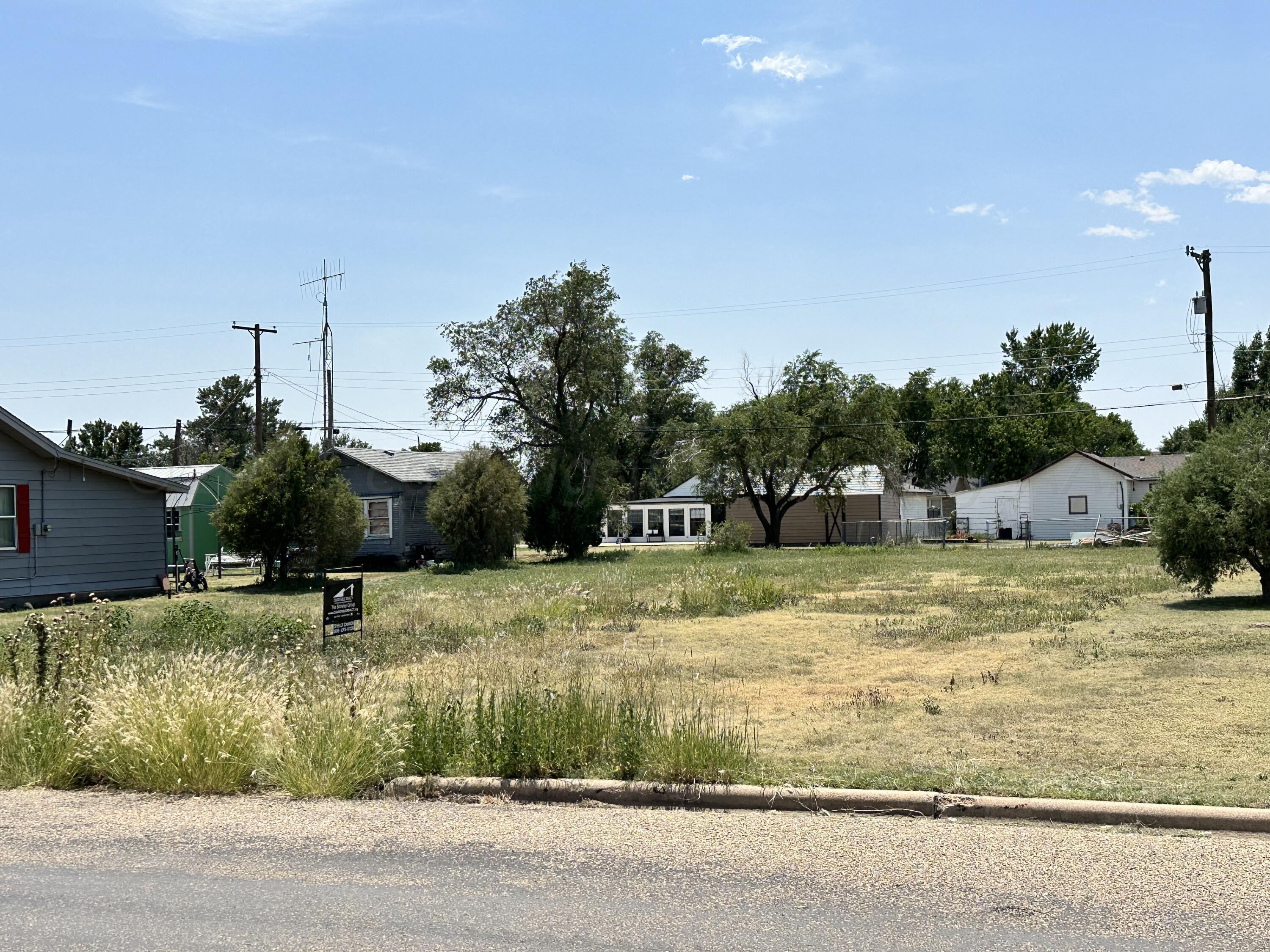 a view of a yard