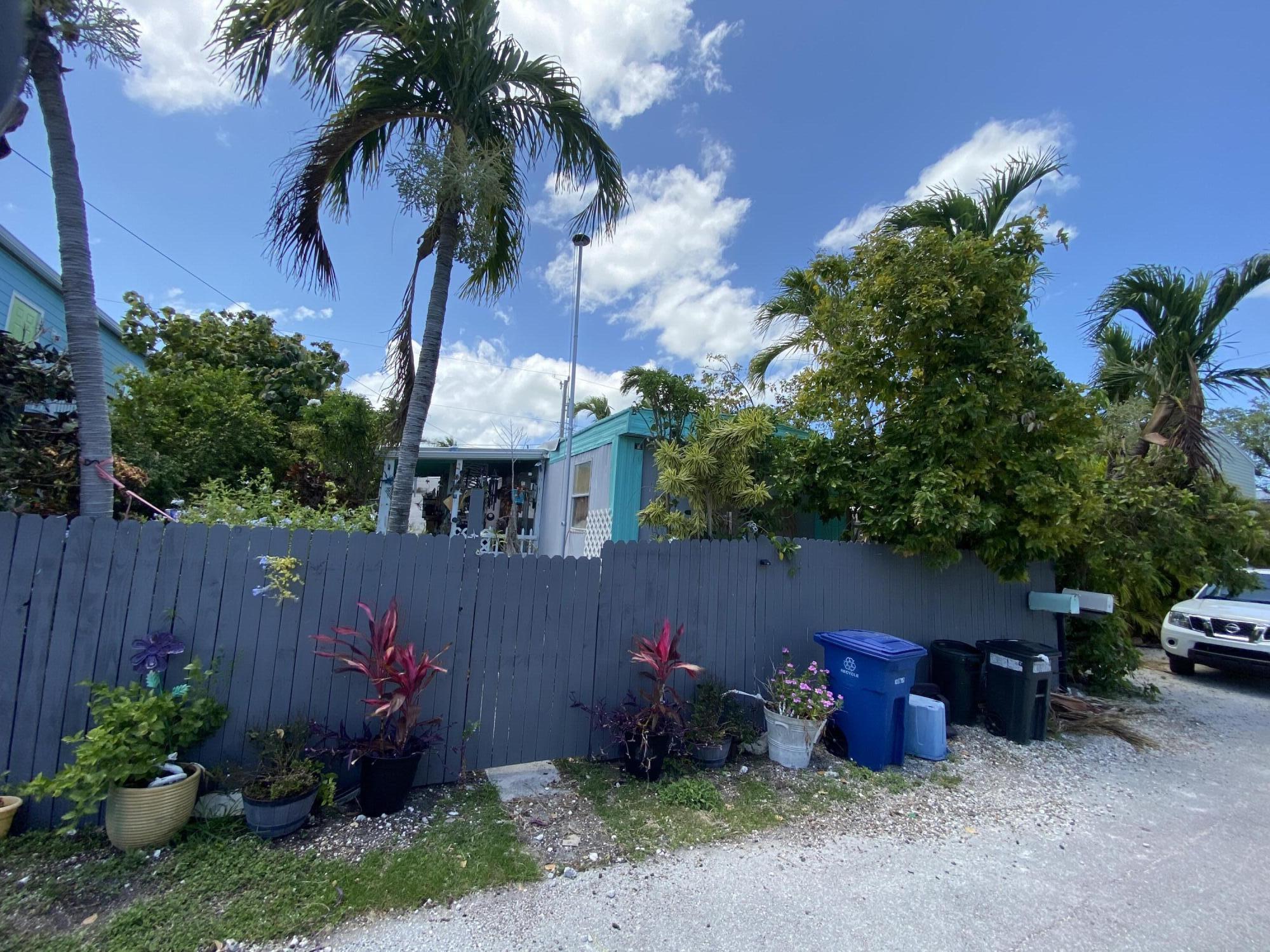 a view of a backyard with potted plants and a large tree