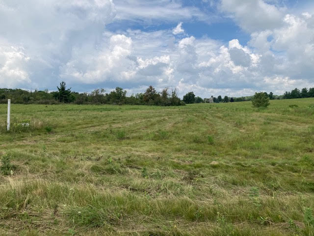 a view of outdoor space with green space