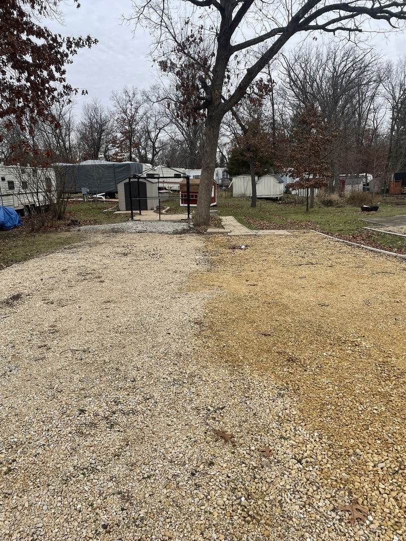 a view of a yard with a tree