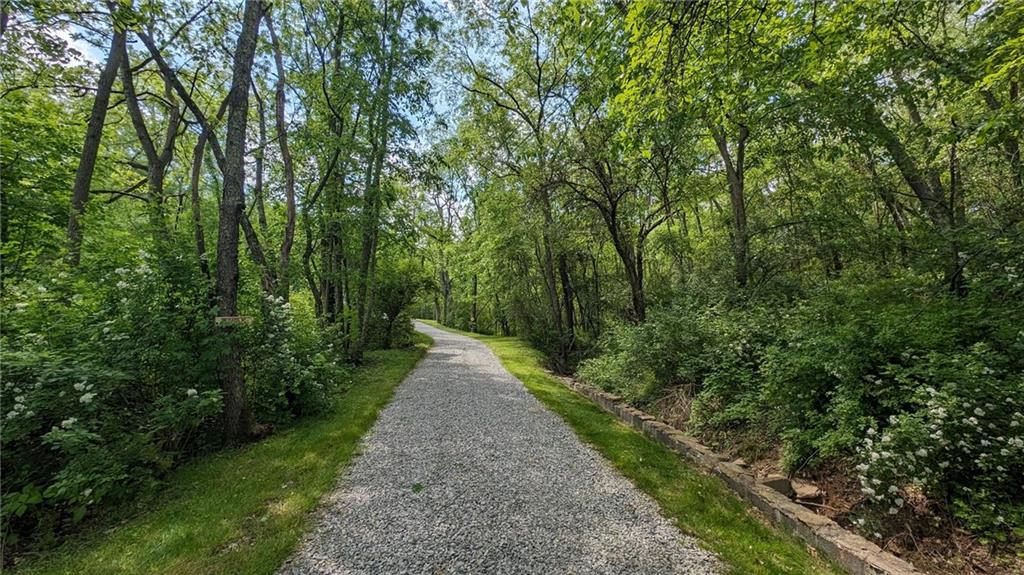 a view of a pathway in a garden