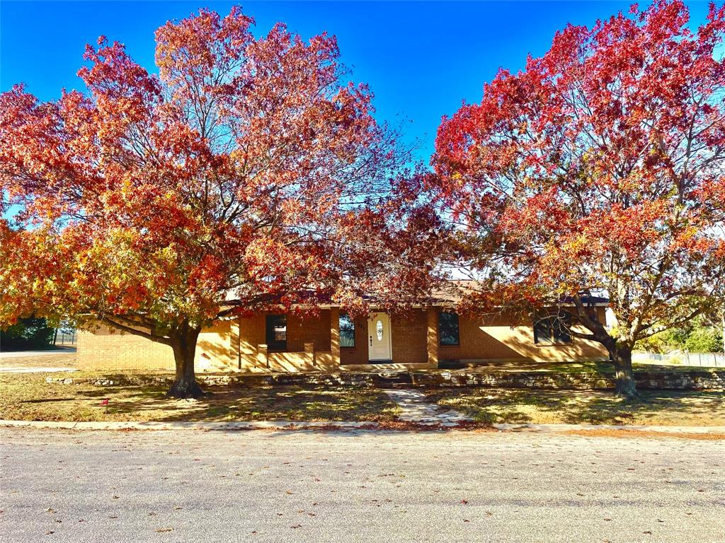 a view of a yard with a tree