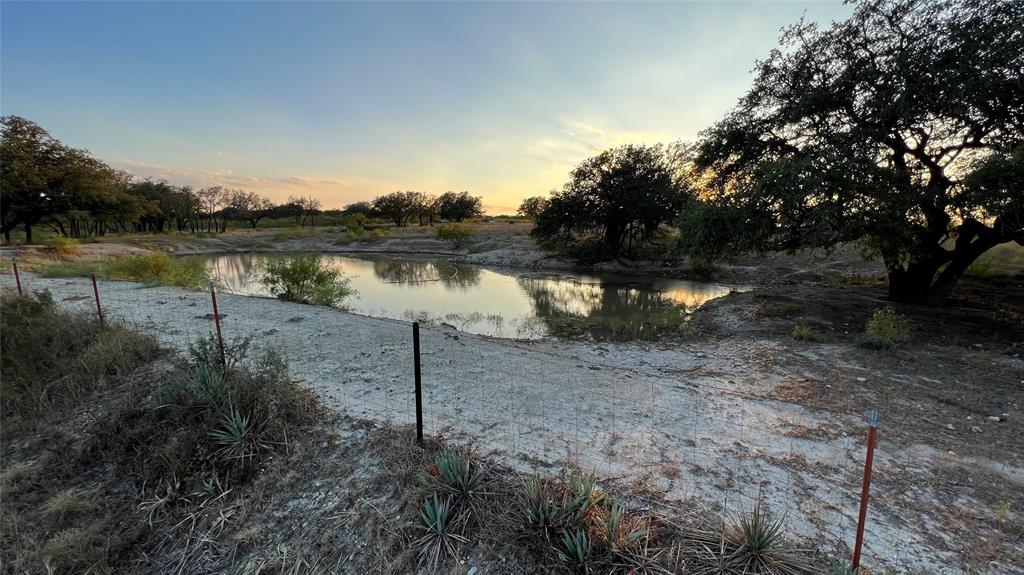 a view of a lake from a yard