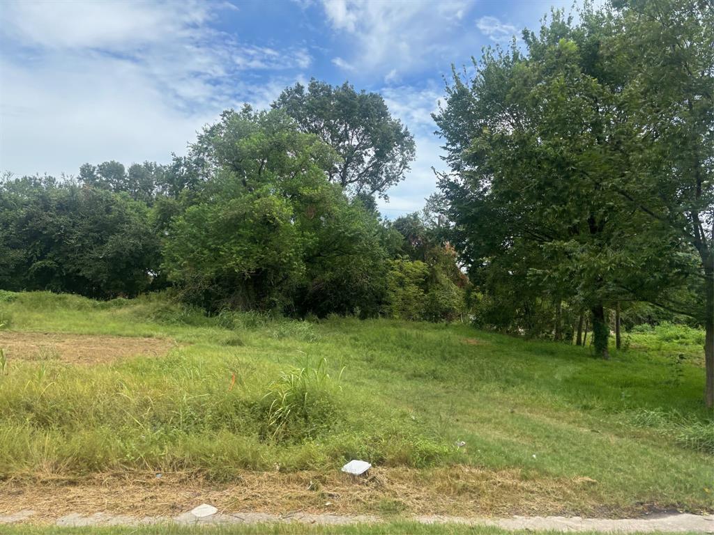 a view of outdoor space and yard