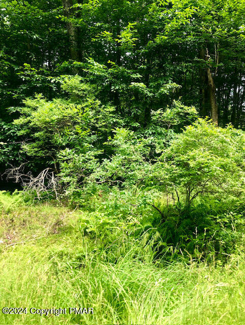 a view of a garden