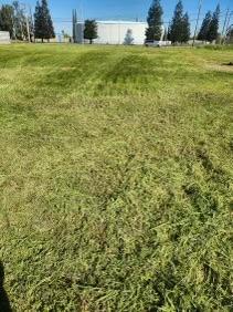 a view of yard with green space