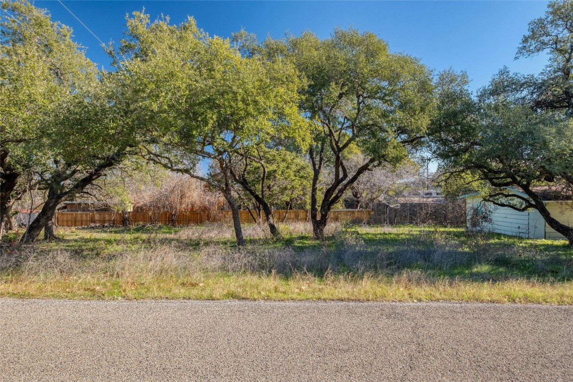 a view of a yard with a tree