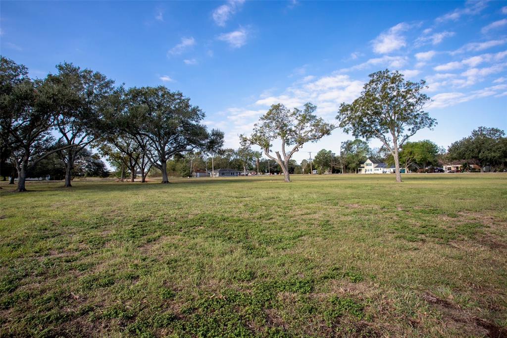 a view of a field with trees