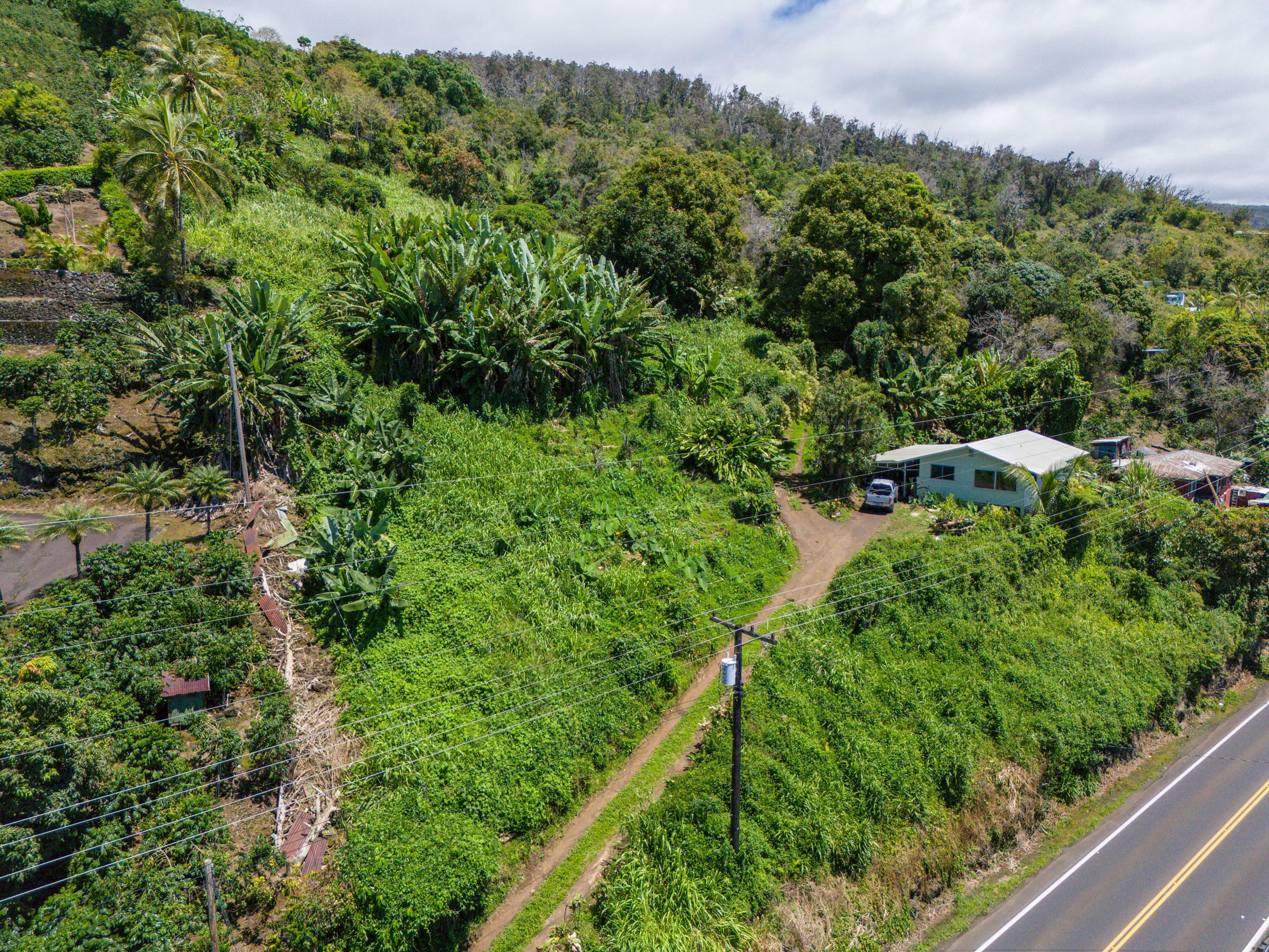 The house is located at the lower end of the property.