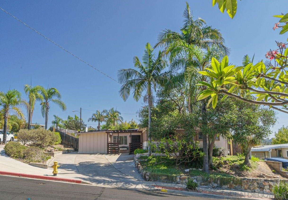 a view of a yard with plants and palm trees