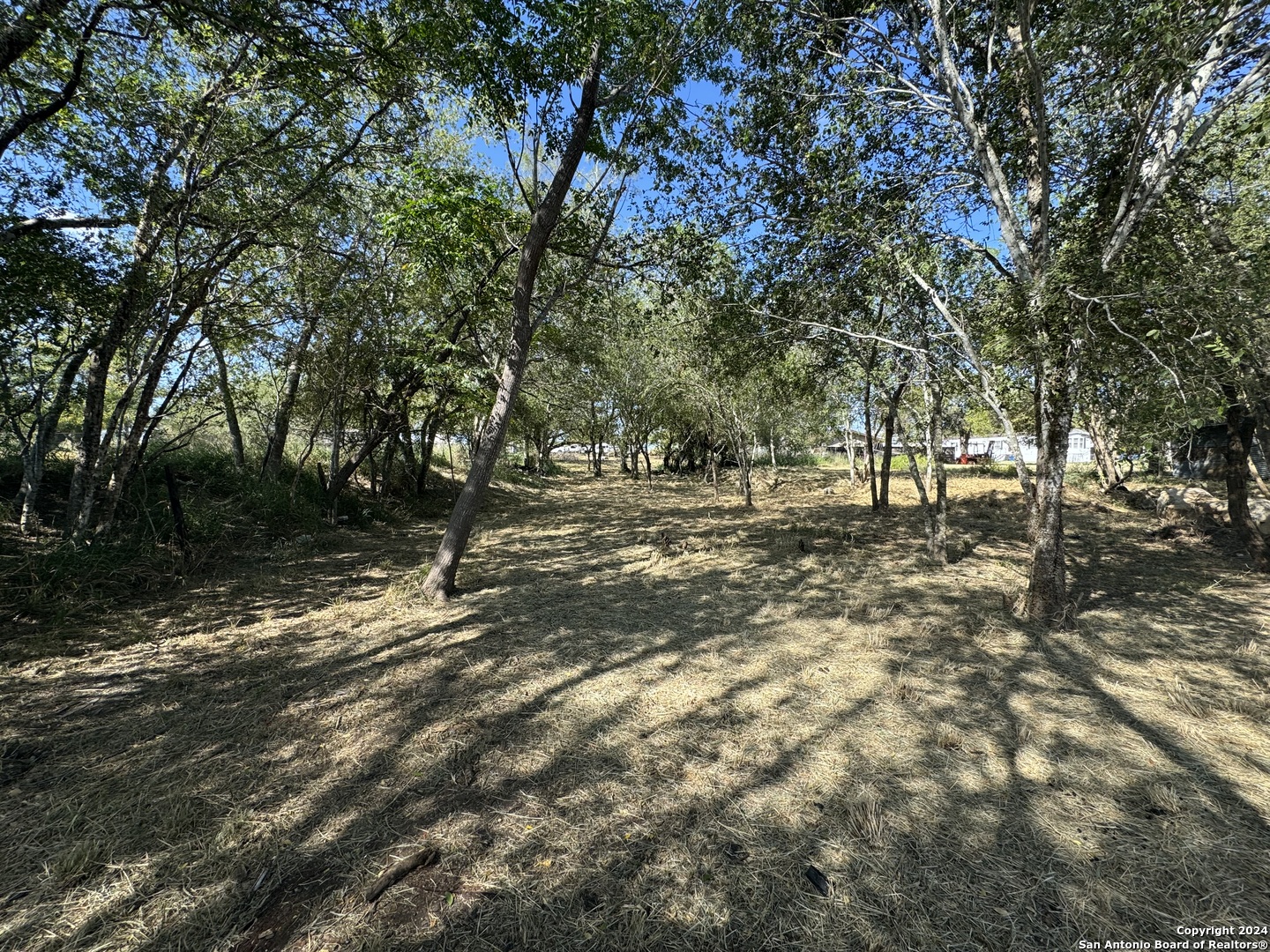 a view of outdoor space with trees