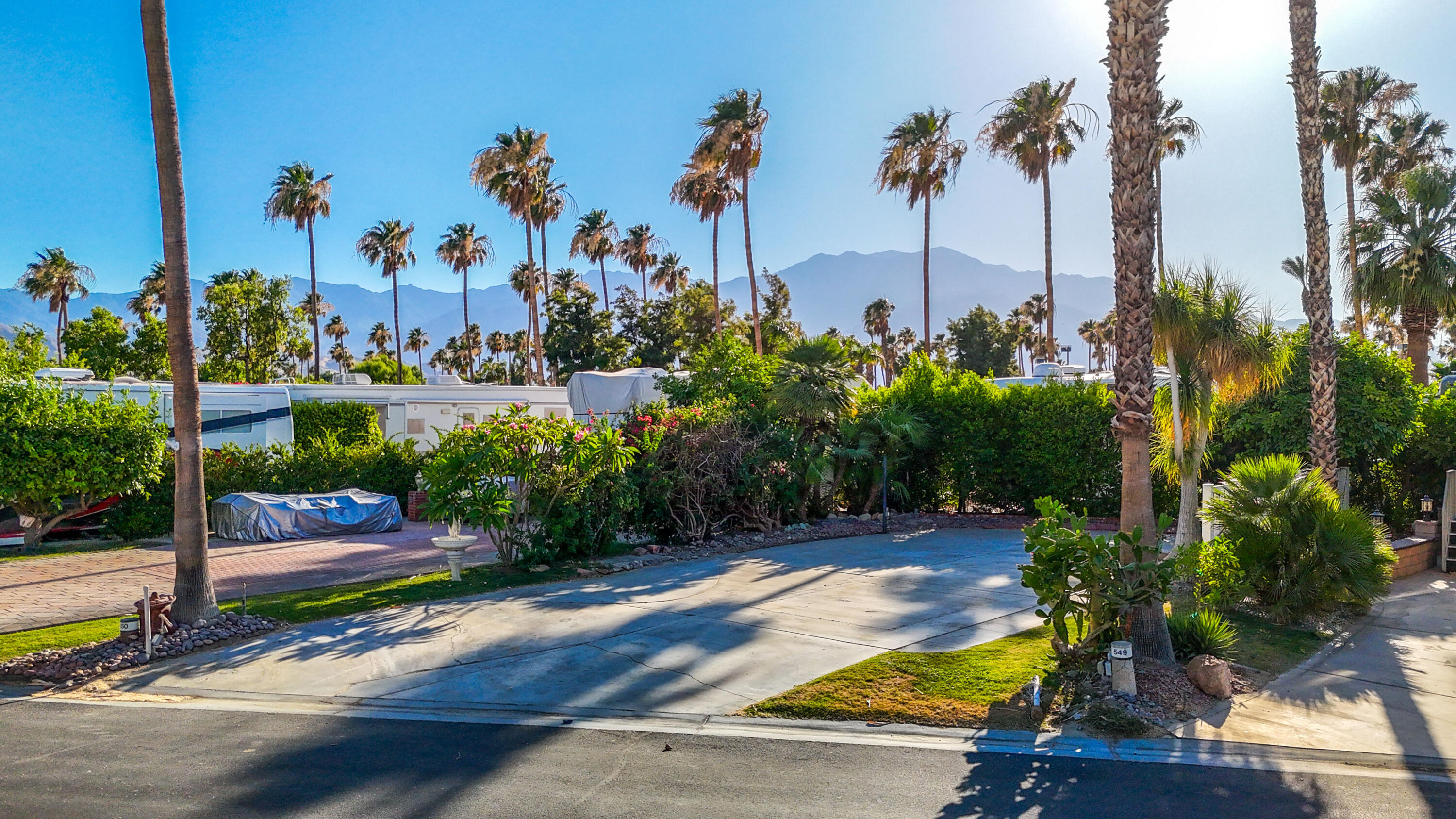 a view of a backyard