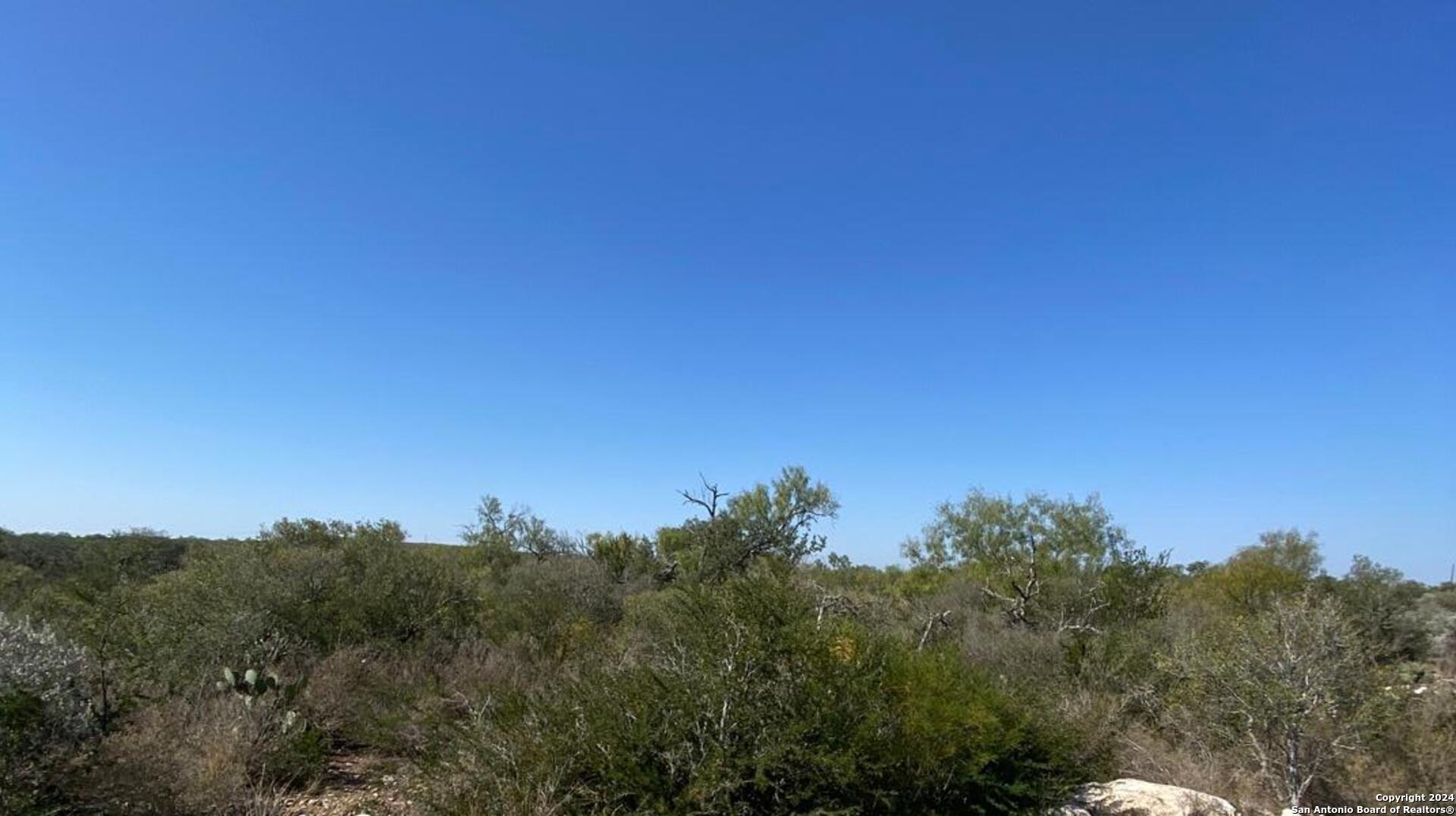 a view of a bunch of trees