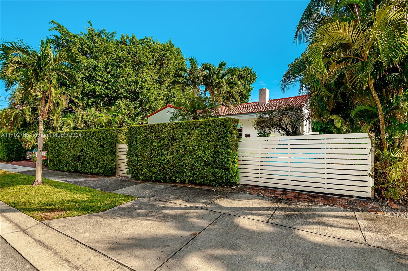 a view of a backyard with a tree