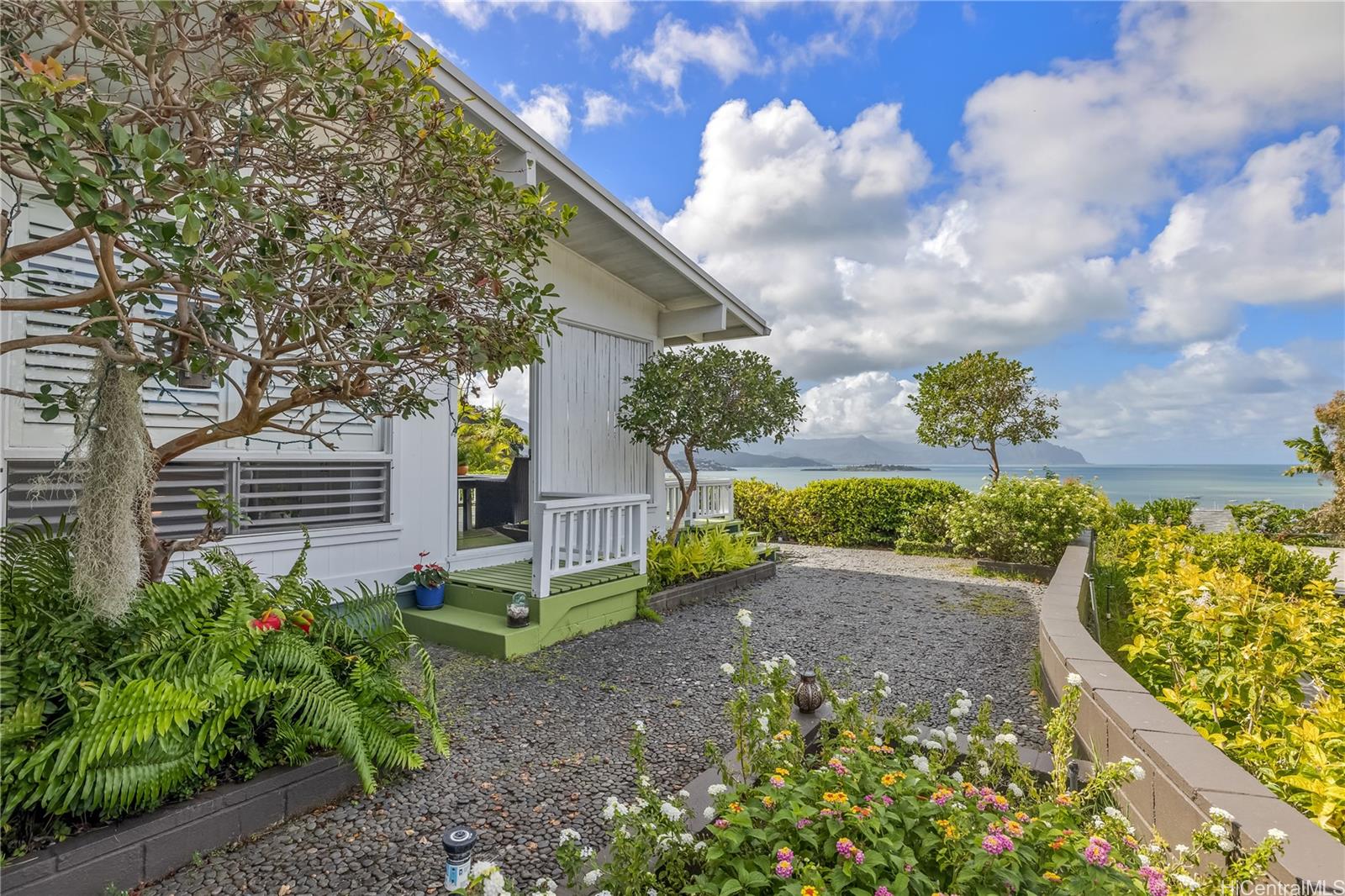 a view of a backyard with plants and a garden