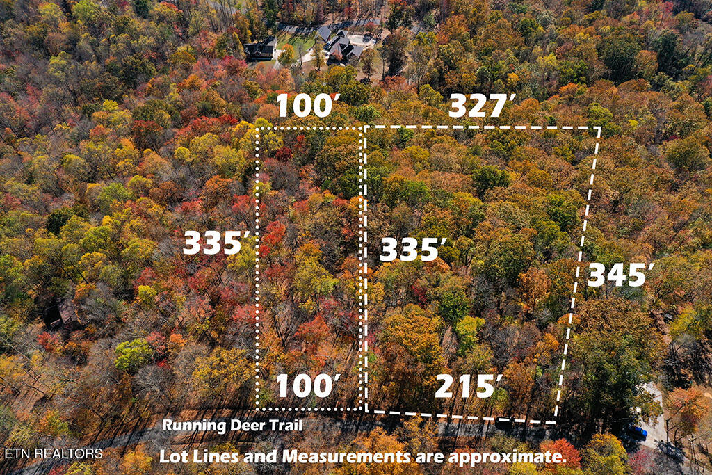 RunningDeerTrl W Lines1 MLS Size