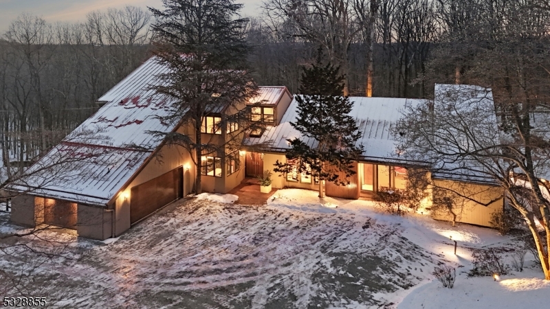 a view of a backyard with a large tree