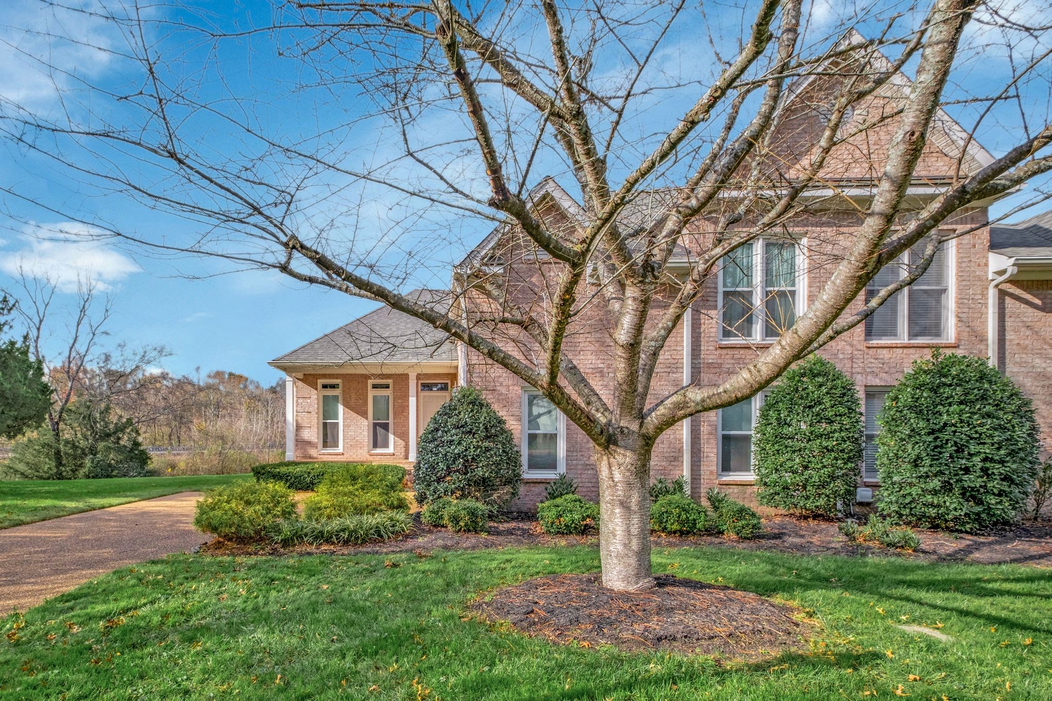 a tree in front of a brick house with a large tree