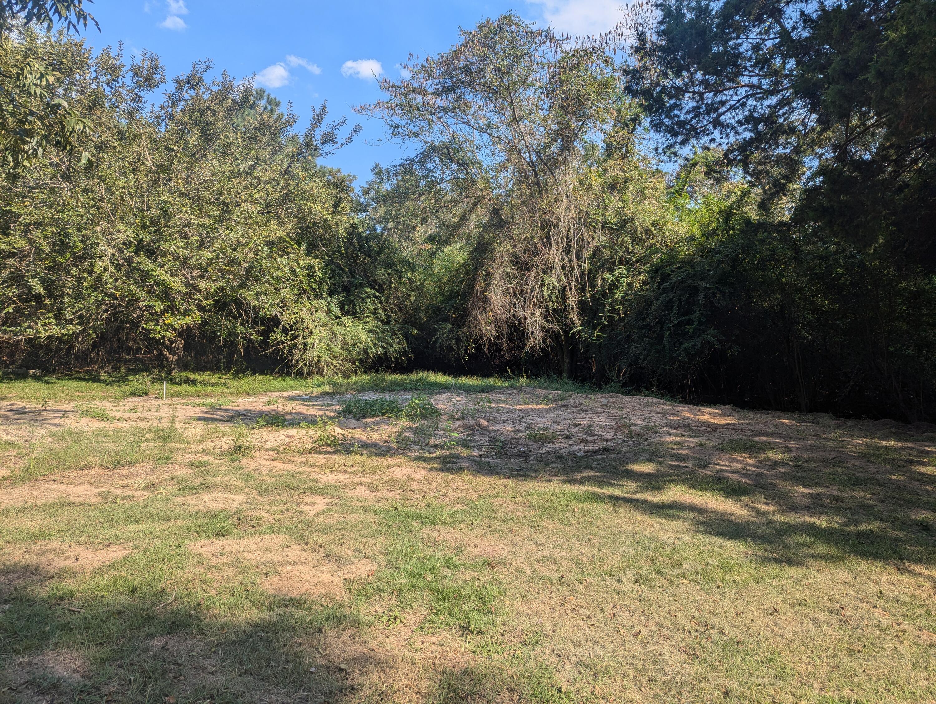 a view of a yard with a tree