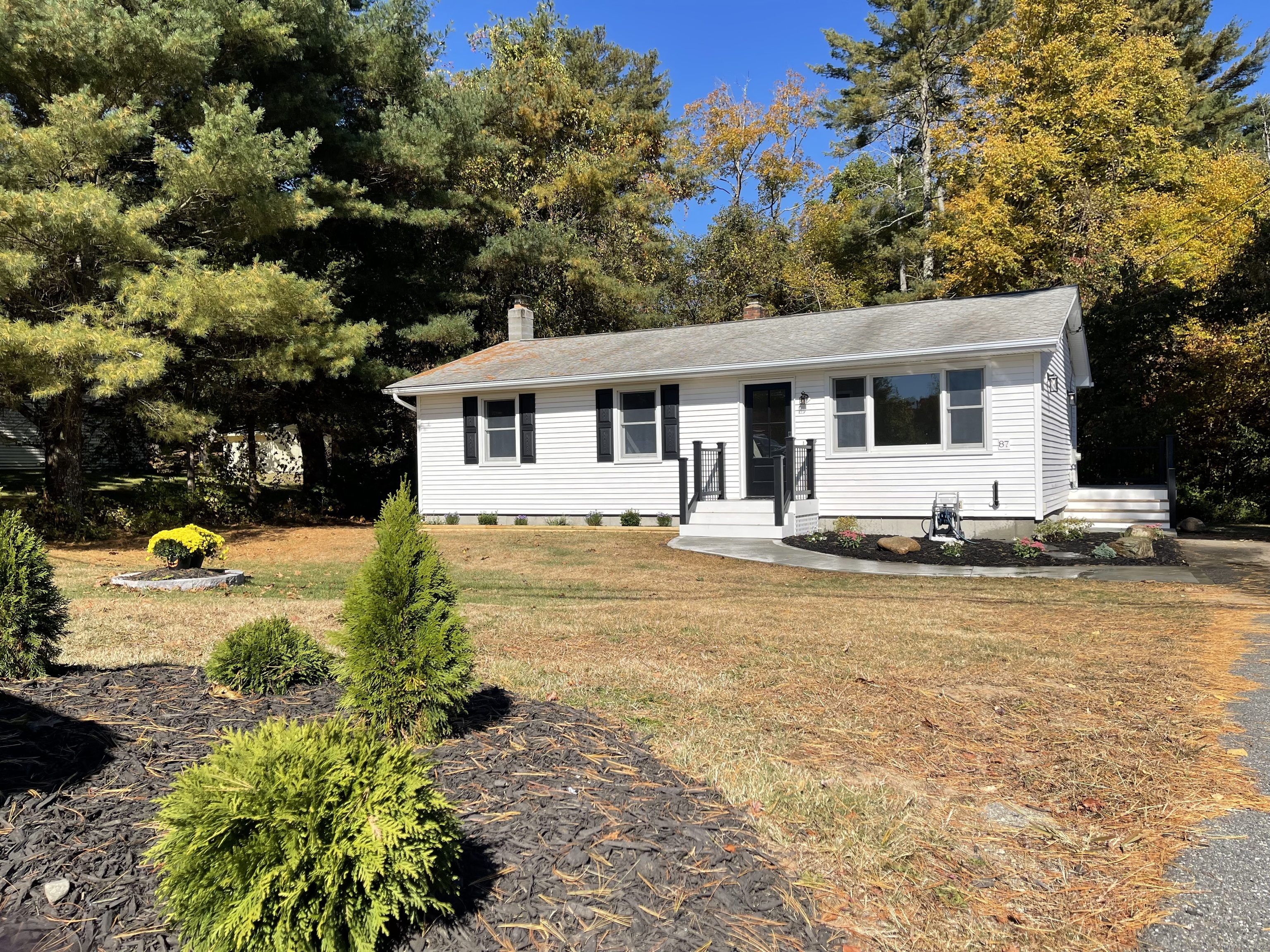 a front view of a house with a yard outdoor seating and covered with trees