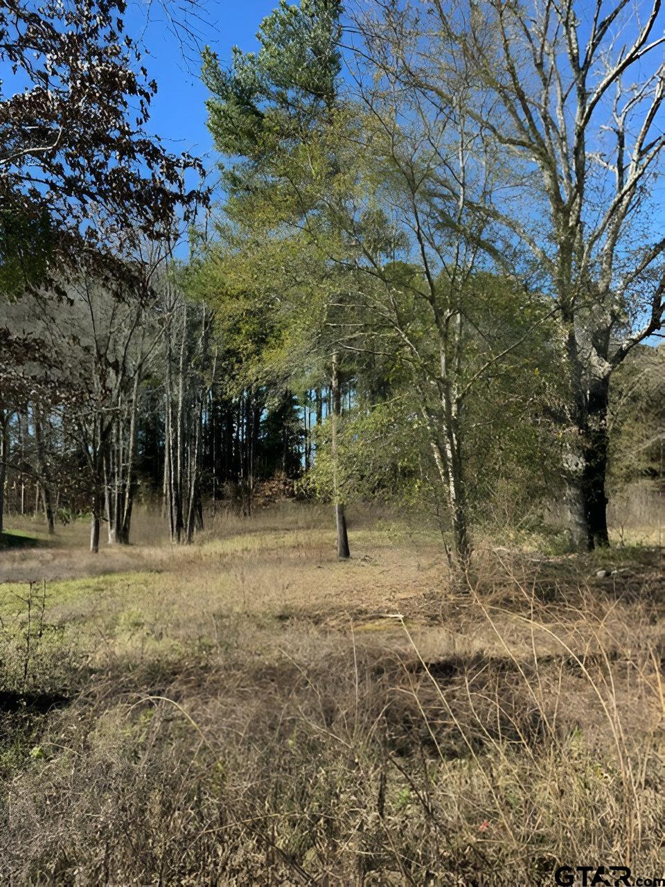 a view of outdoor space with trees