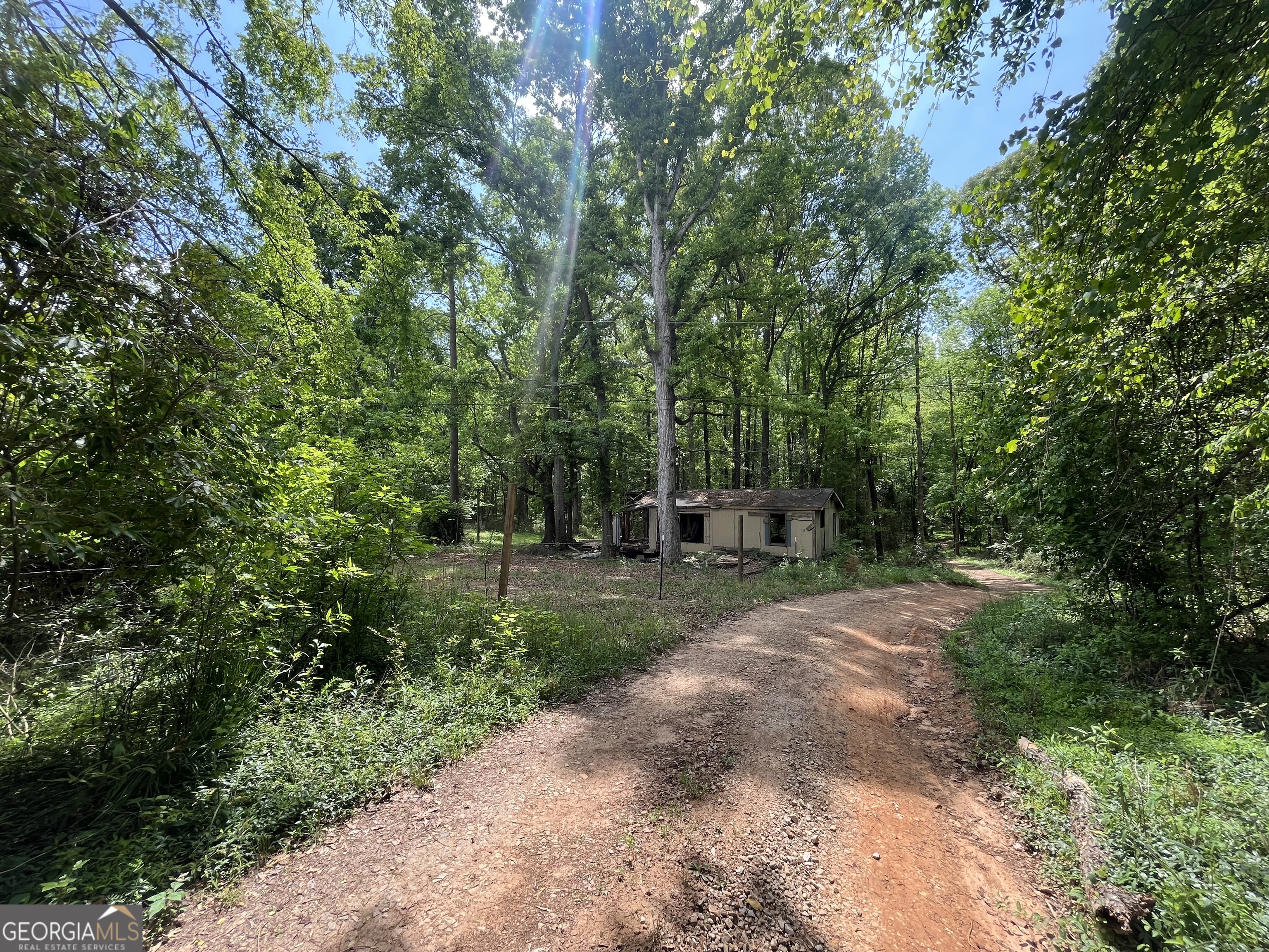 a view of a backyard with trees