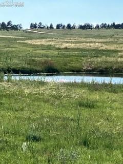 a view of a lake from a yard