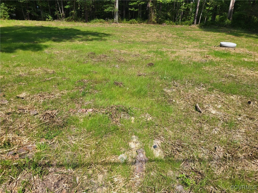 a view of a field with a trees