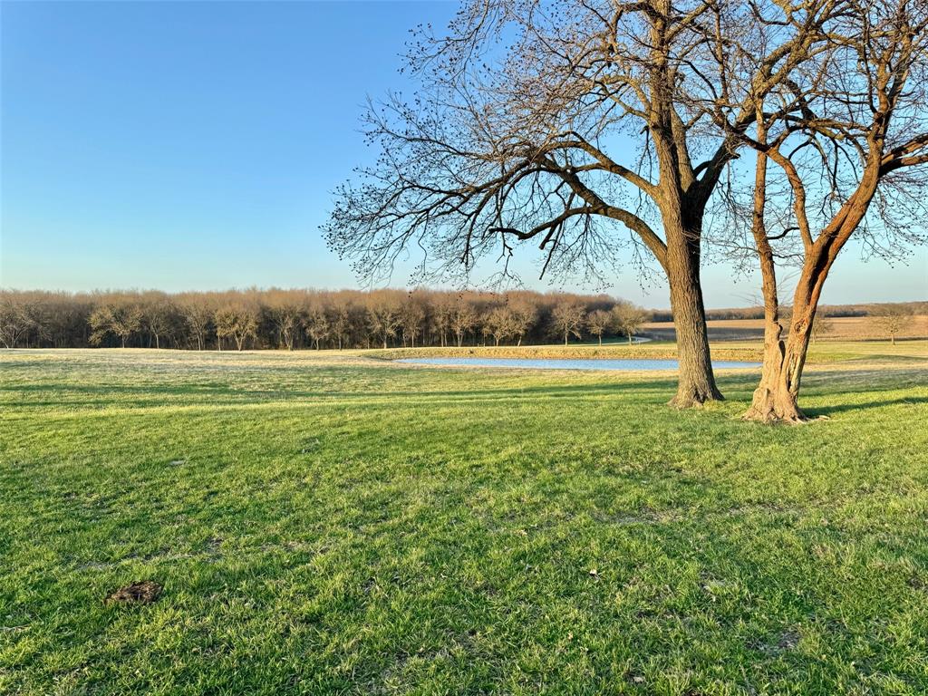 a view of outdoor space with trees all around