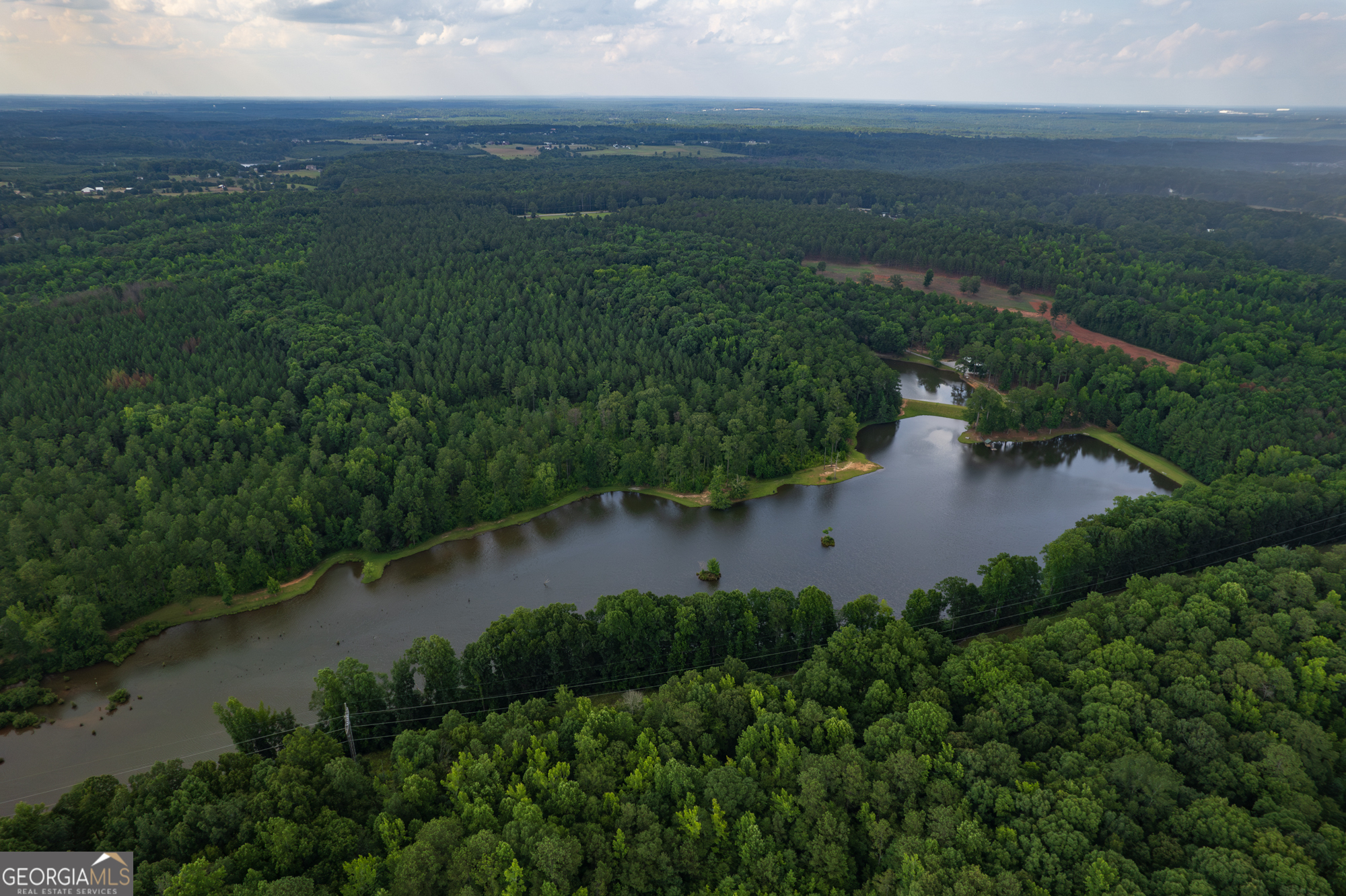 an aerial view of green landscape with trees houses and lake view