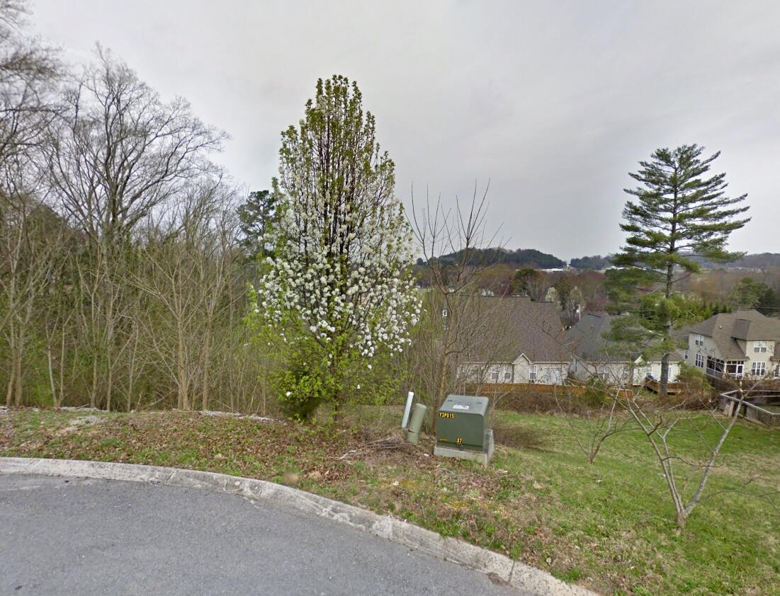 Dutchess-Lot-Google Street View (1)