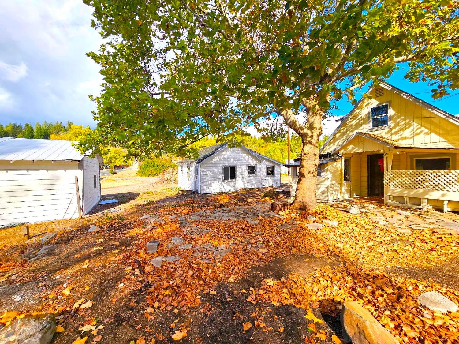 a view of a house with a tree