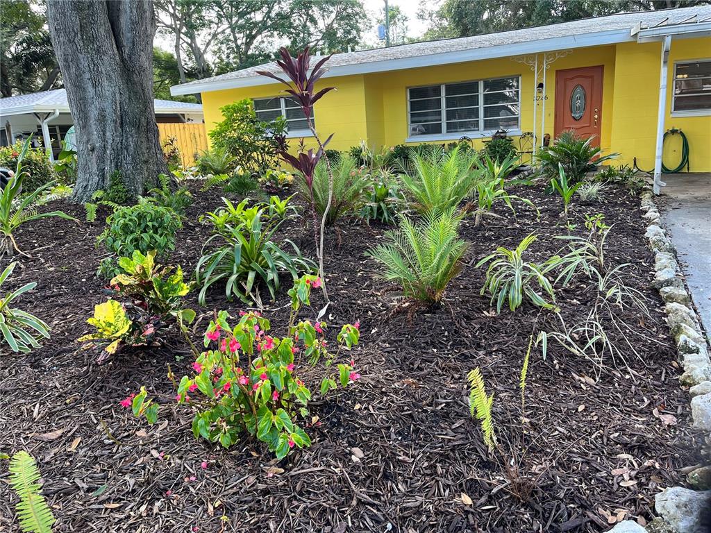 a plant is in front of a house