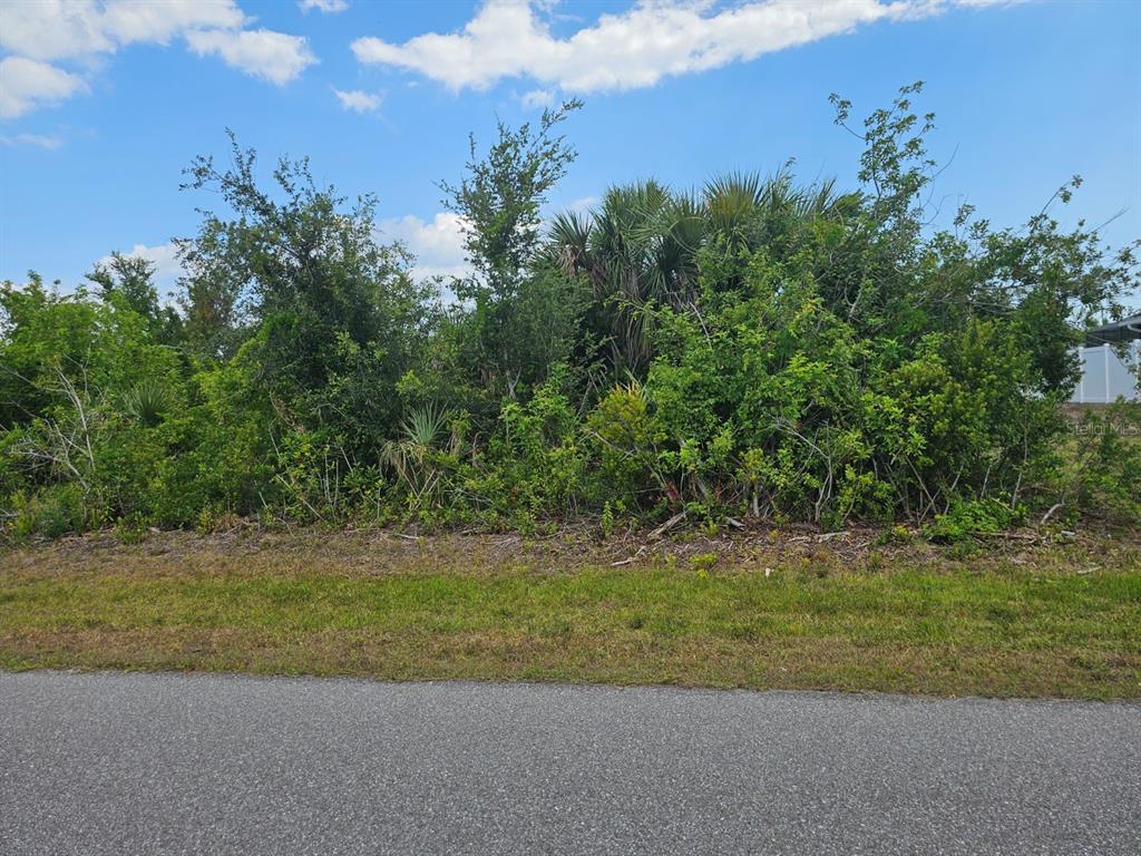 a view of a yard with a tree