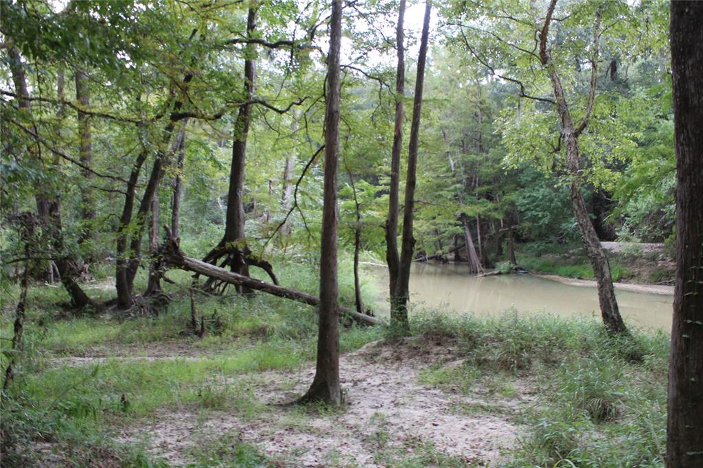 a view of outdoor space and trees