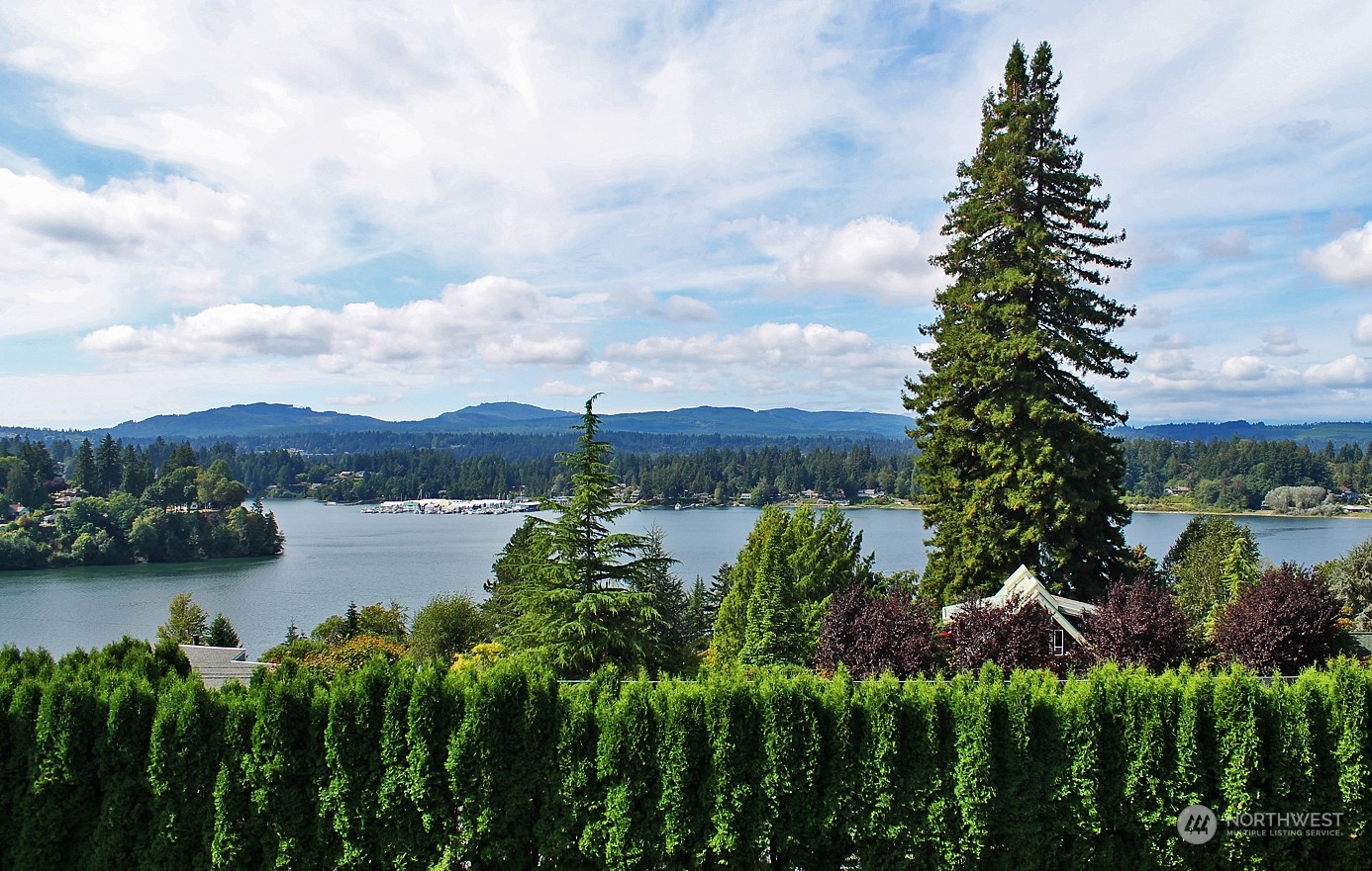 a view of a lake with a garden