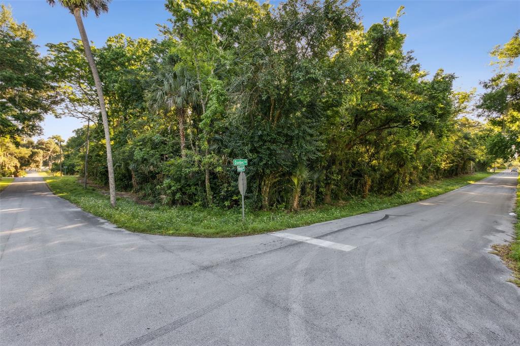 a view of a road with a trees in the background