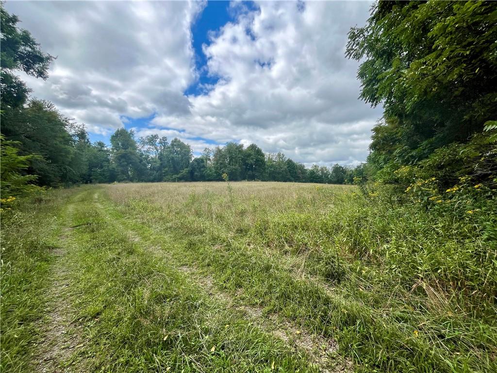 a view of a field with an trees in the background