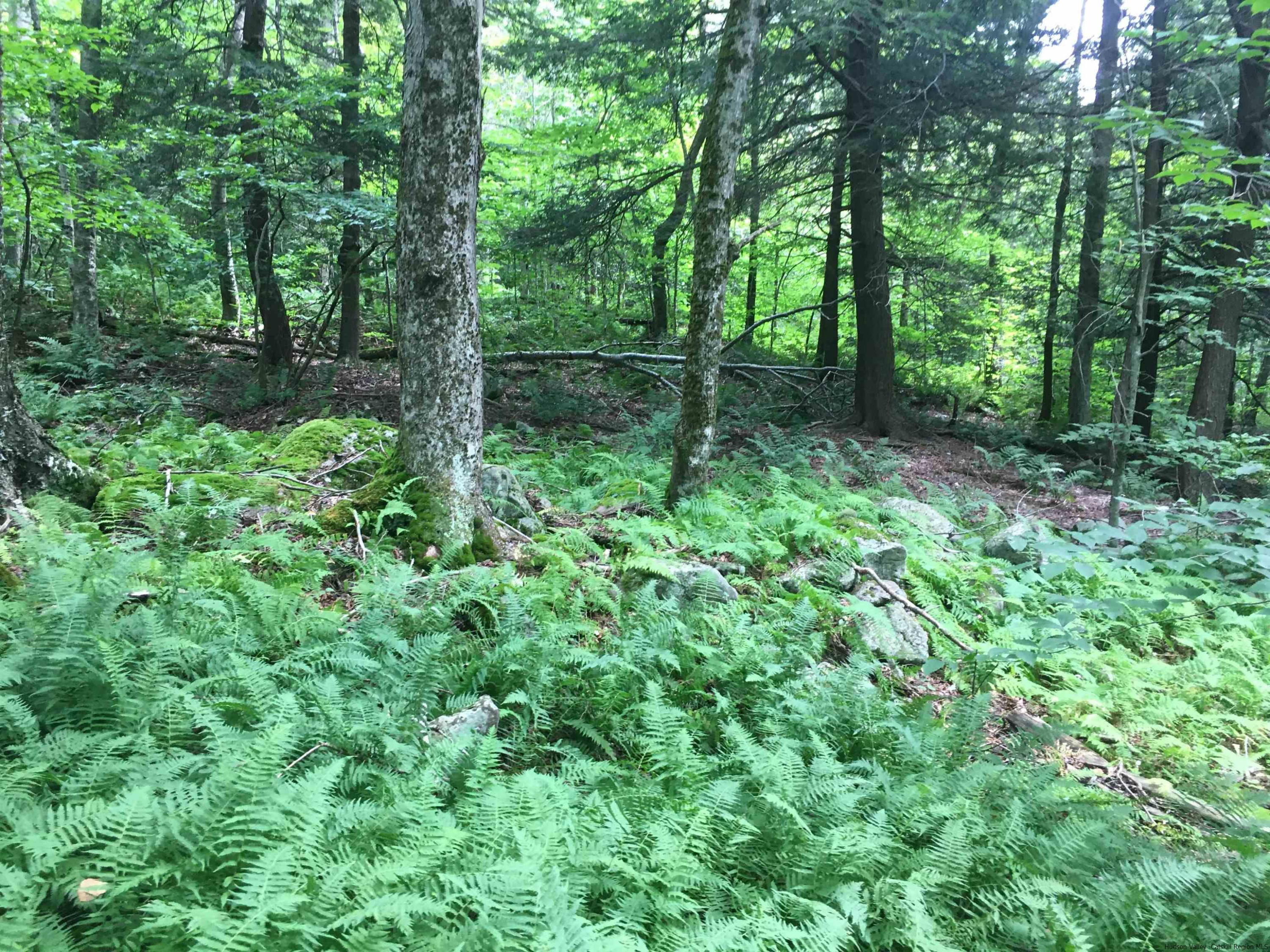 a view of outdoor space and green space