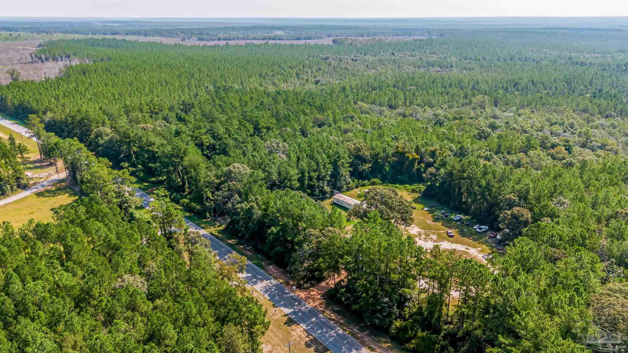 a view of a lush green forest with trees and some houses